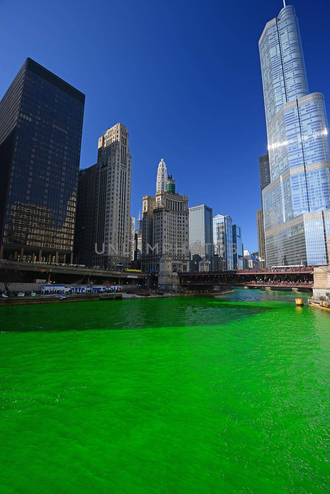 chicago green river during Saint Patrick day