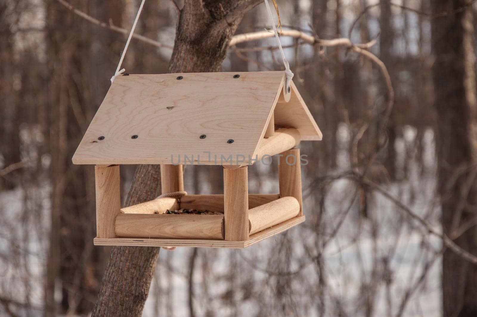 Homemade bird feeder. Helping birds in winter