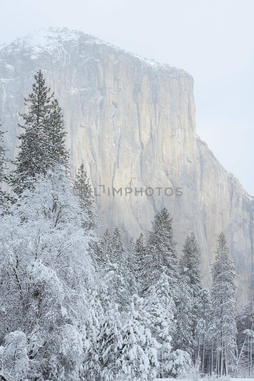 el capitan at yosemite in winter