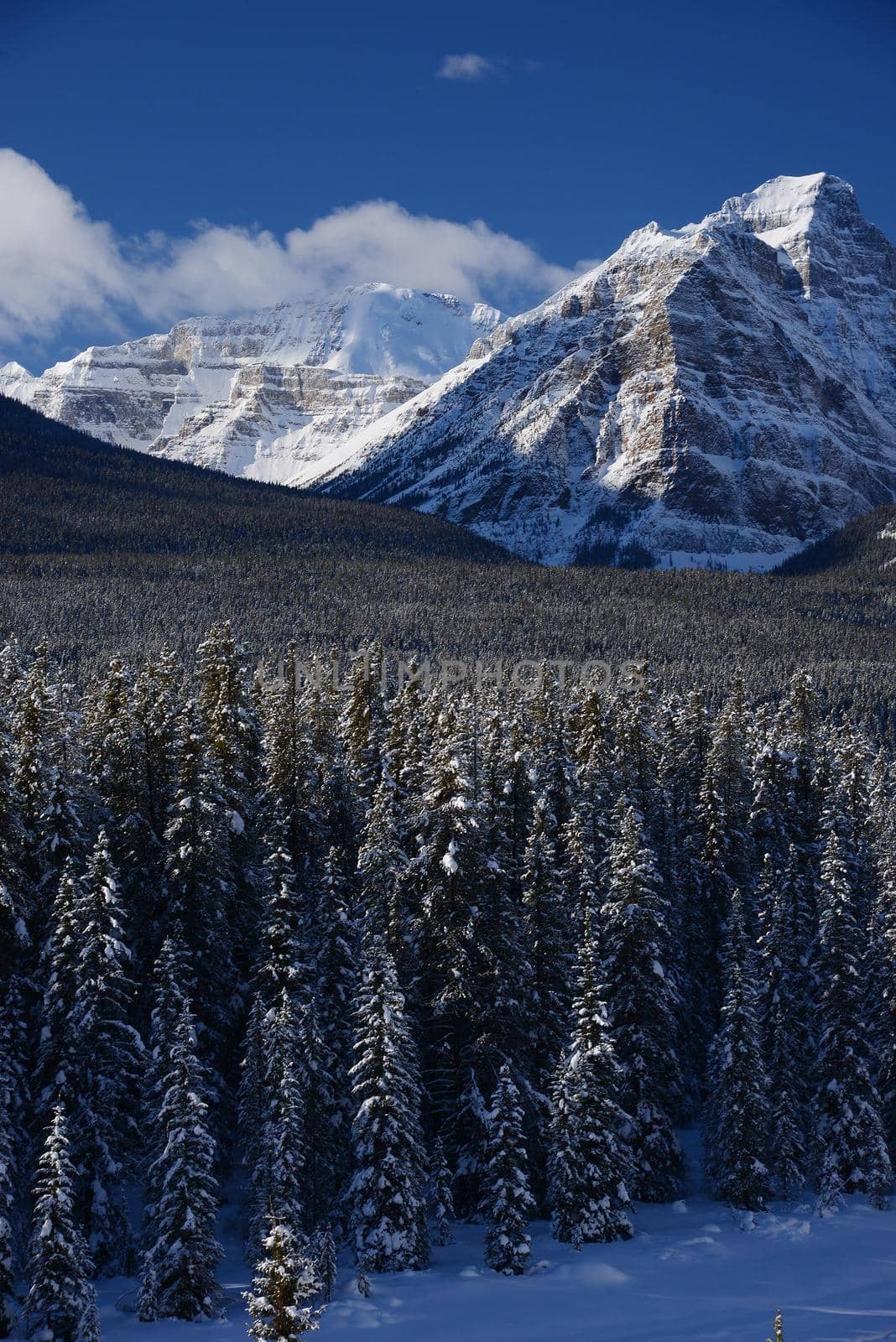 snow capped mountain in winter at canadian rockies