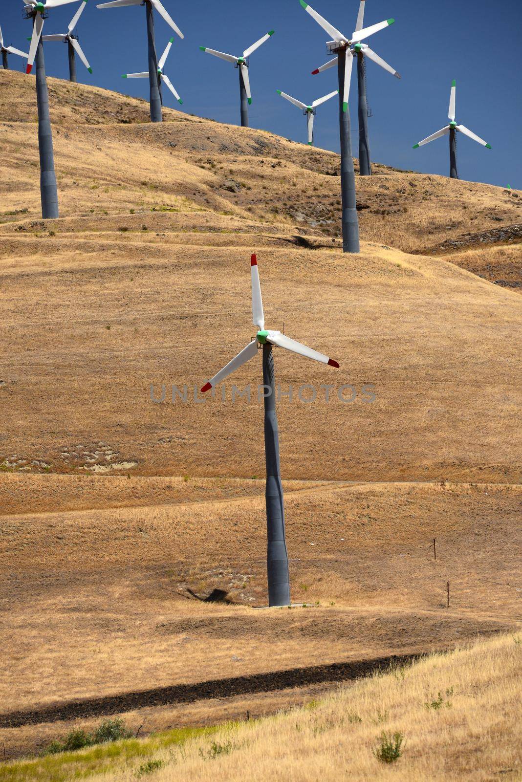 wind farm on a grass hill