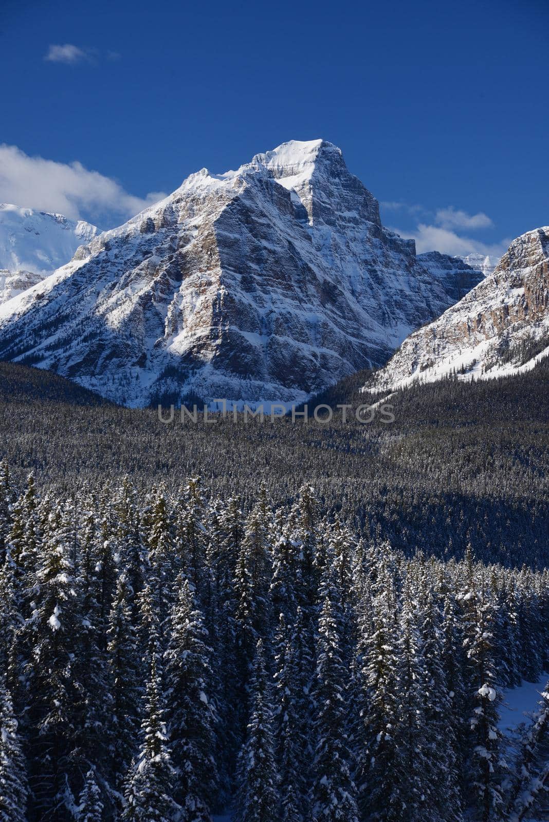 snow capped mountain in winter at canadian rockies