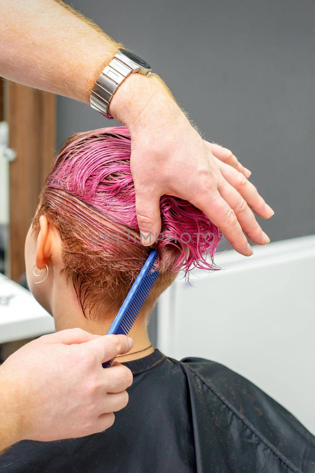 A hairdresser is combing the dyed pink wet short hair of the female client in the hairdresser salon, back view. by okskukuruza