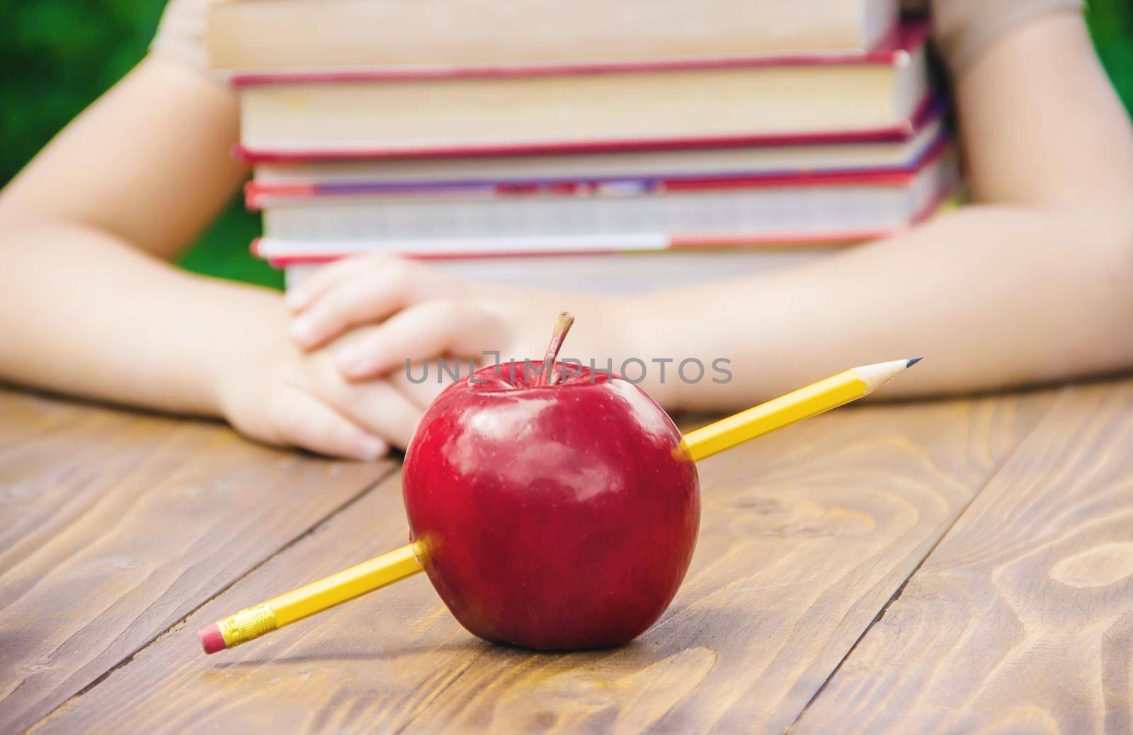 School supplies. The child learns. Selective focus nature