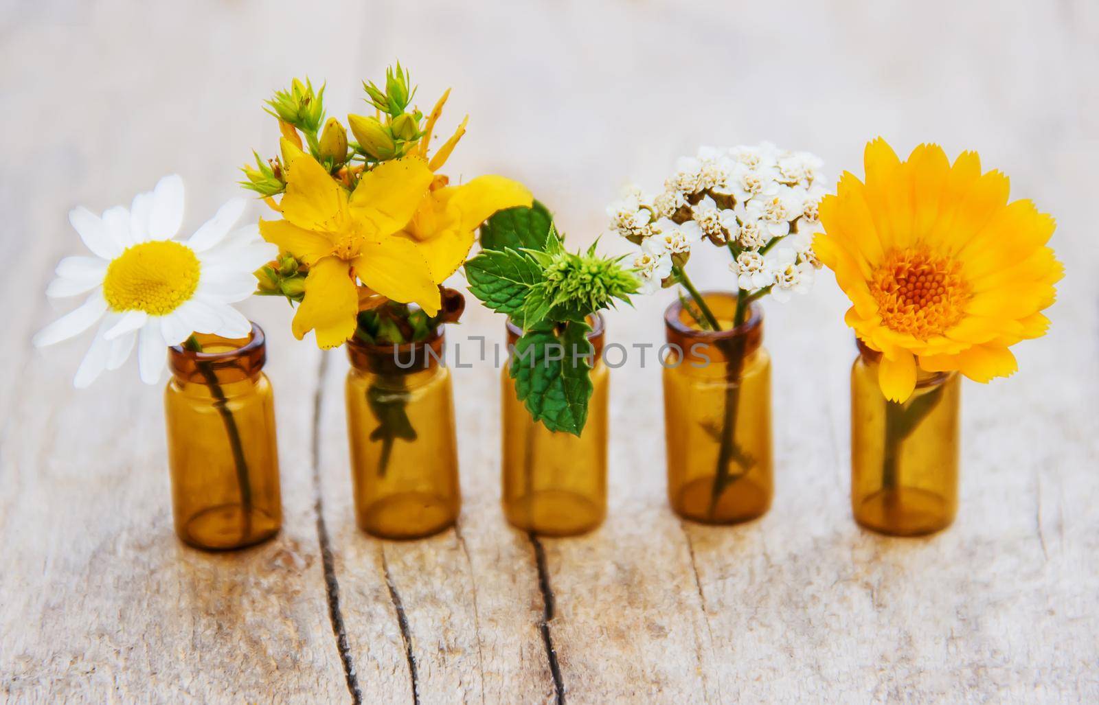 extracts of herbs in small bottles. Selective focus. by yanadjana