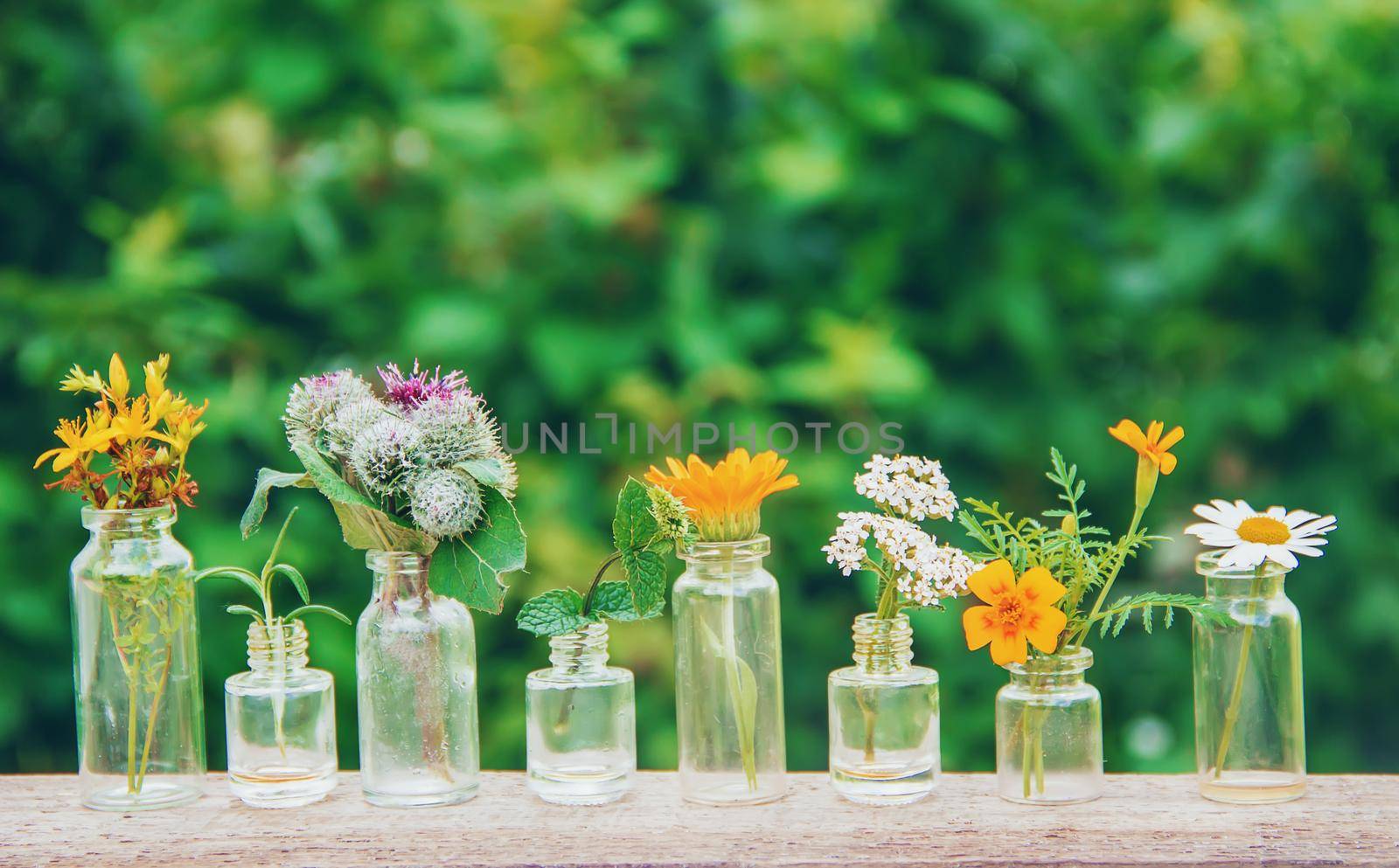 extracts of herbs in small bottles. Selective focus. by yanadjana