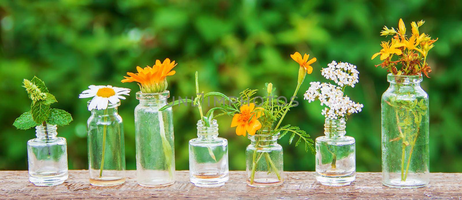 extracts of herbs in small bottles. Selective focus. by yanadjana