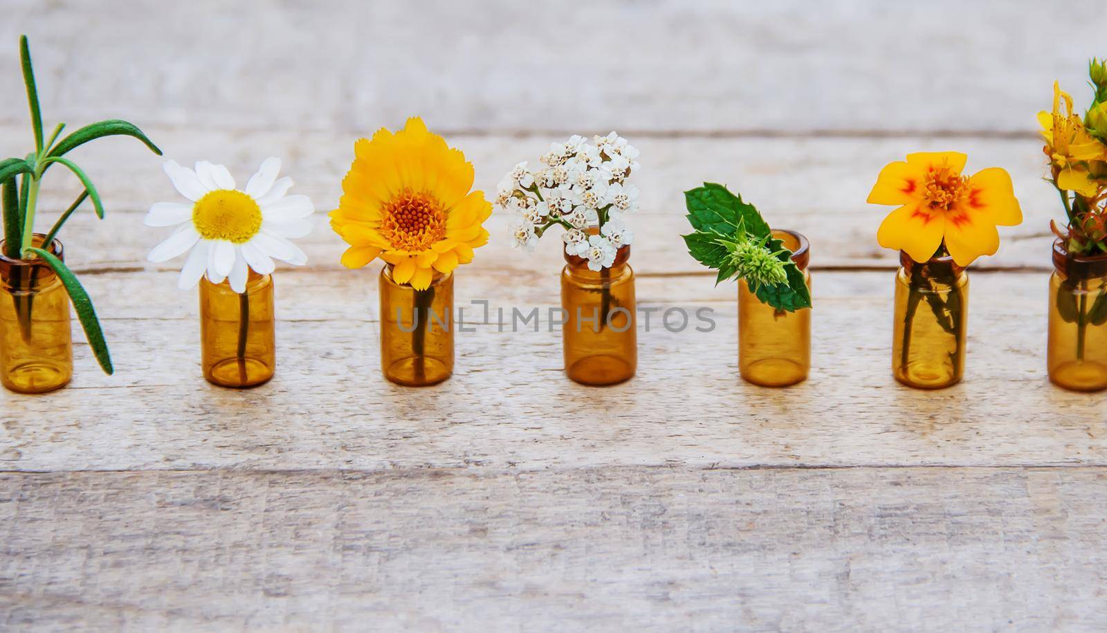 extracts of herbs in small bottles. Selective focus. by yanadjana