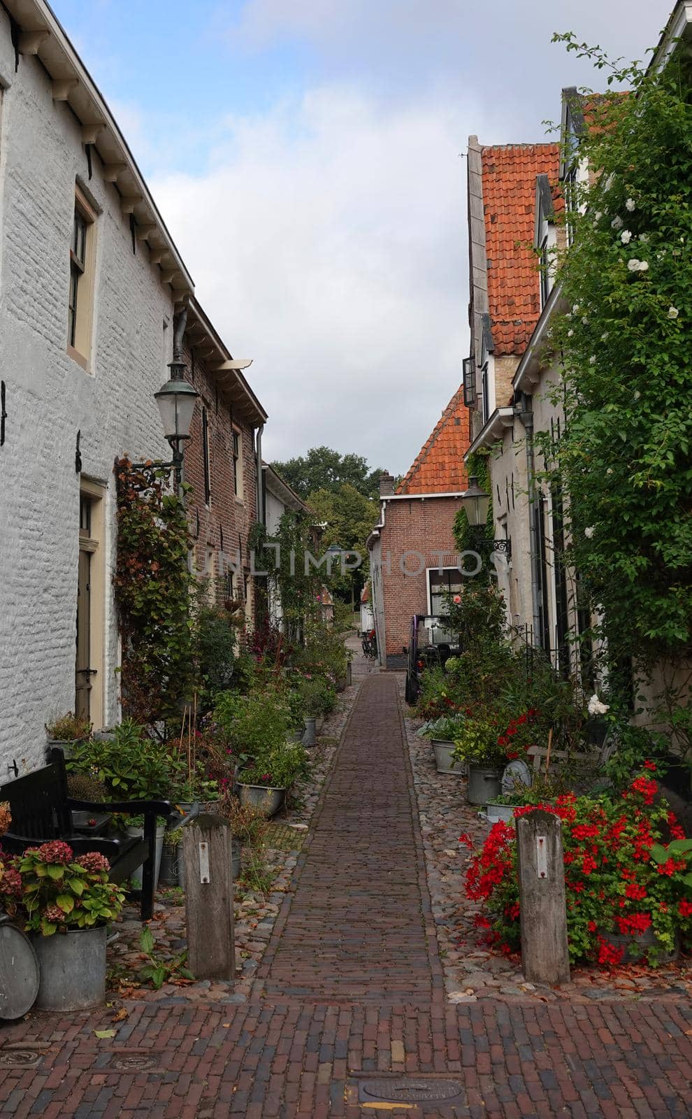 Alley near to the fortified wall with small, old houses with flower pots in front in the center of Elburg in the Netherlands.