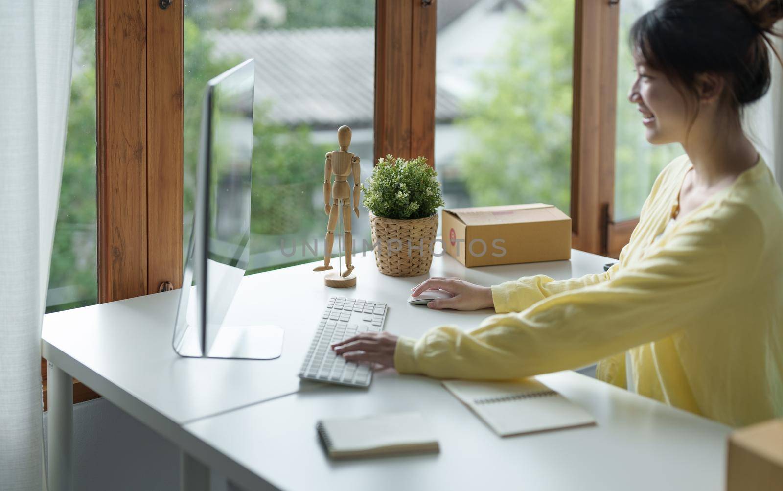 Smiling young freelance businesswoman using desktop pc in the office