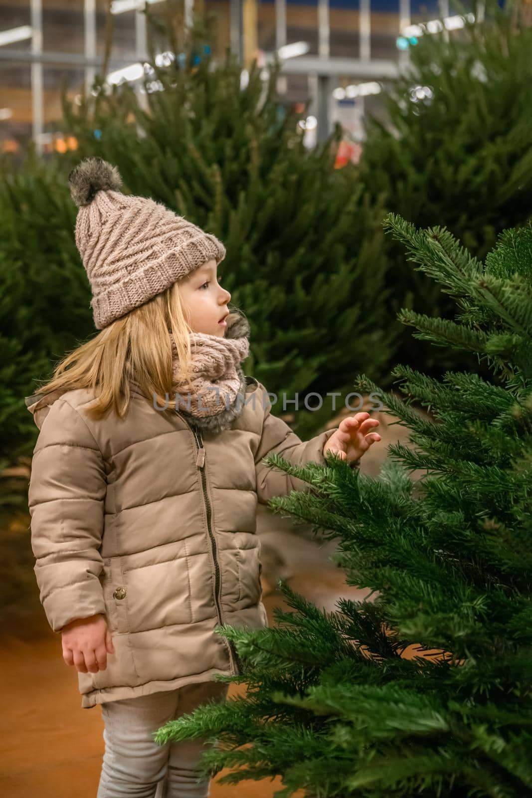 Small girl of three years old chooses a Christmas tree in the market.