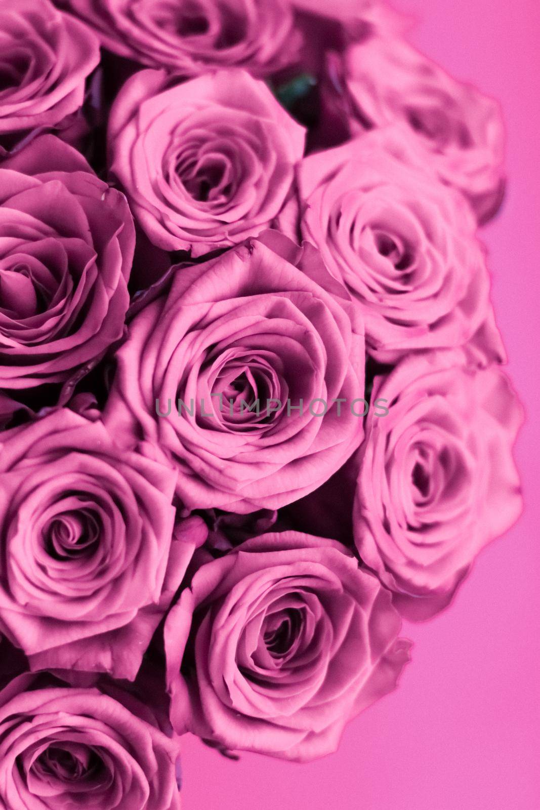 Blooming rose, flower blossom and Valentines Day gift concept - Luxury bouquet of purple roses, flowers in bloom as floral holiday background