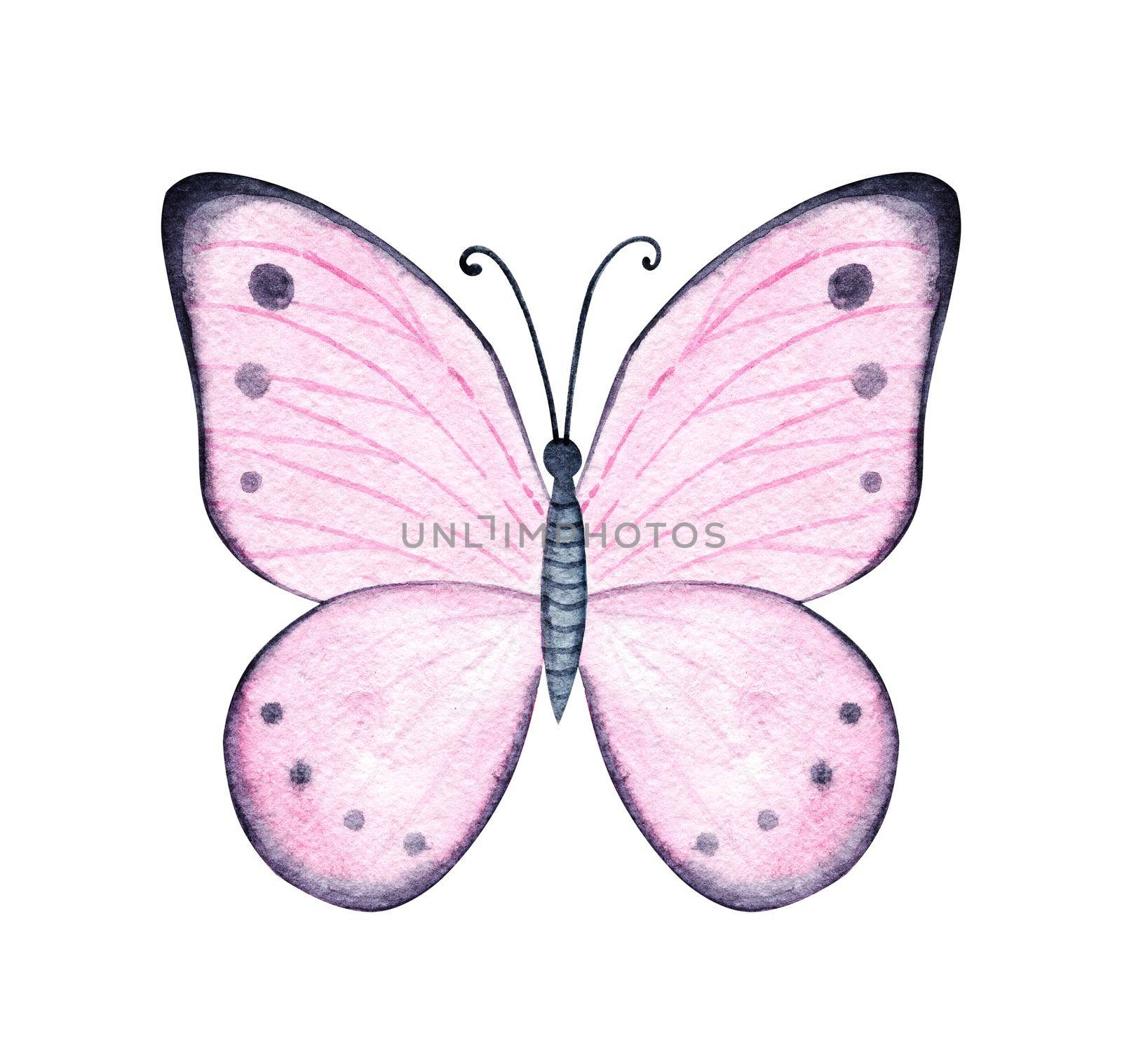 Watercolor pink butterfly isolated on white background