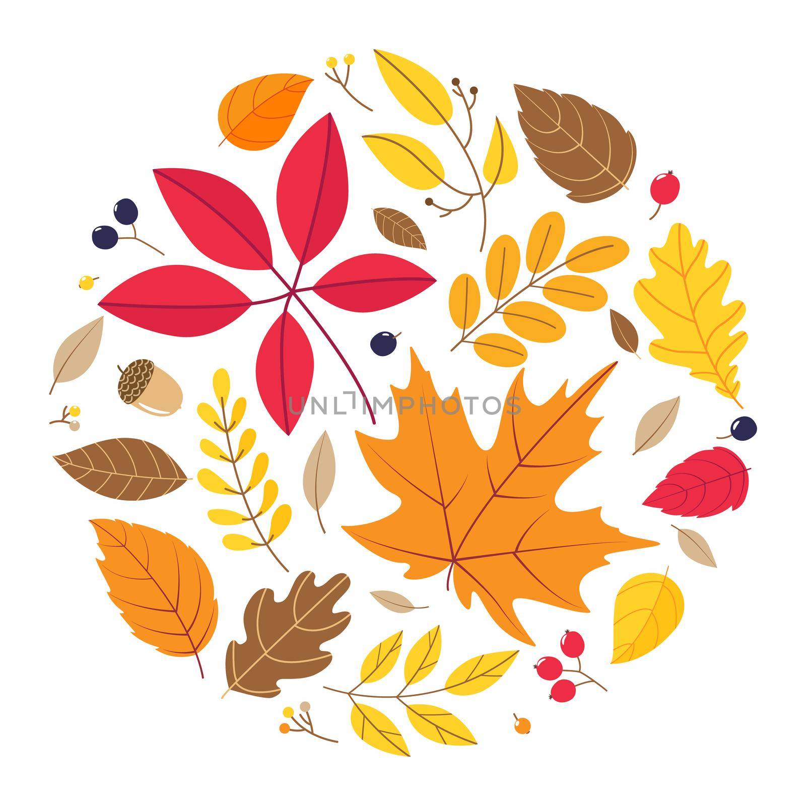 Round composition of different autumn leaves isolated on white background. Vector illustration.