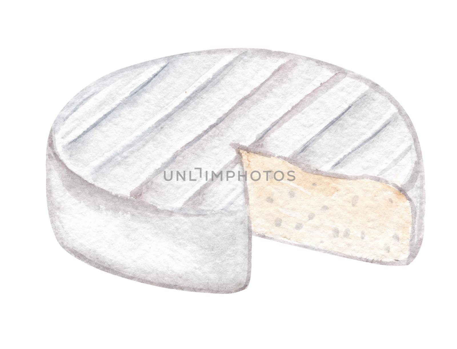 Watercolor white cheese with mold isolated on white background. Camembert wheel hand drawn illustration. Brie art