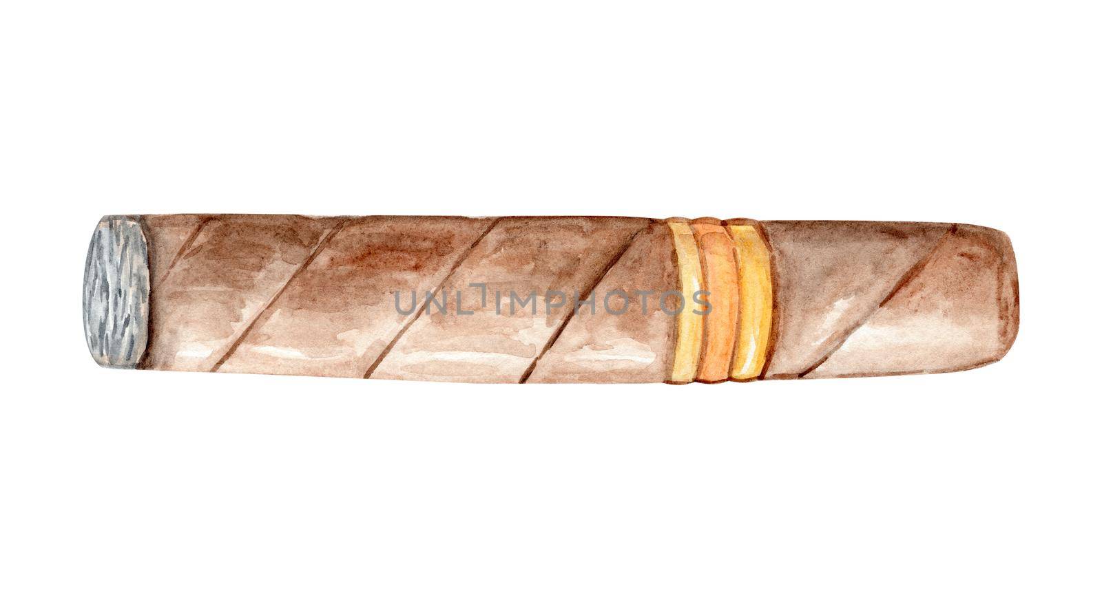 Watercolor hand drawn cigar isolated on white background