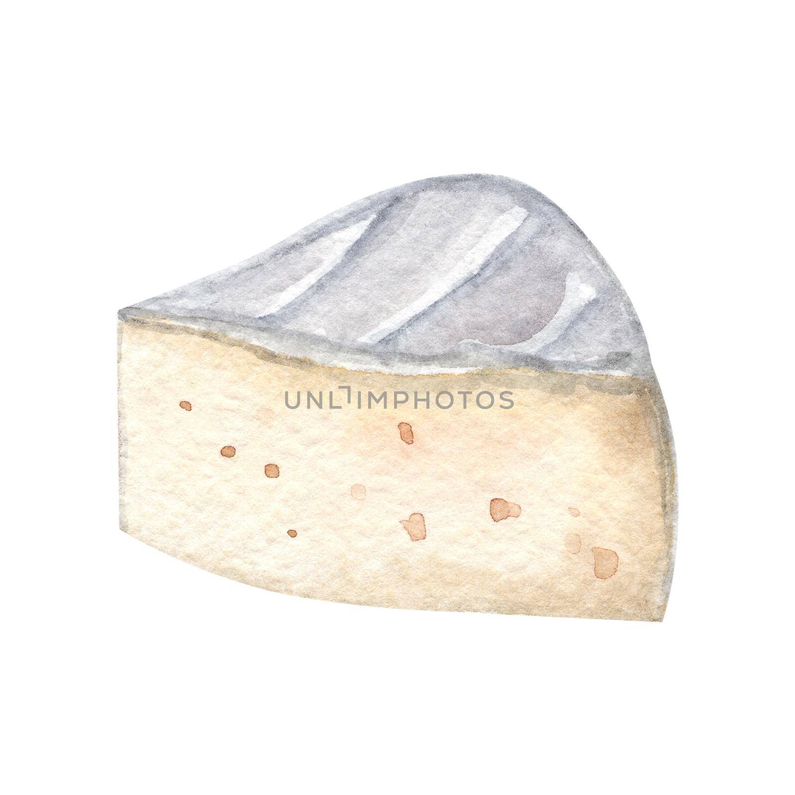 watercolor camembert piece cheese isolated on white . Hand drawn brie slice illustration by dreamloud