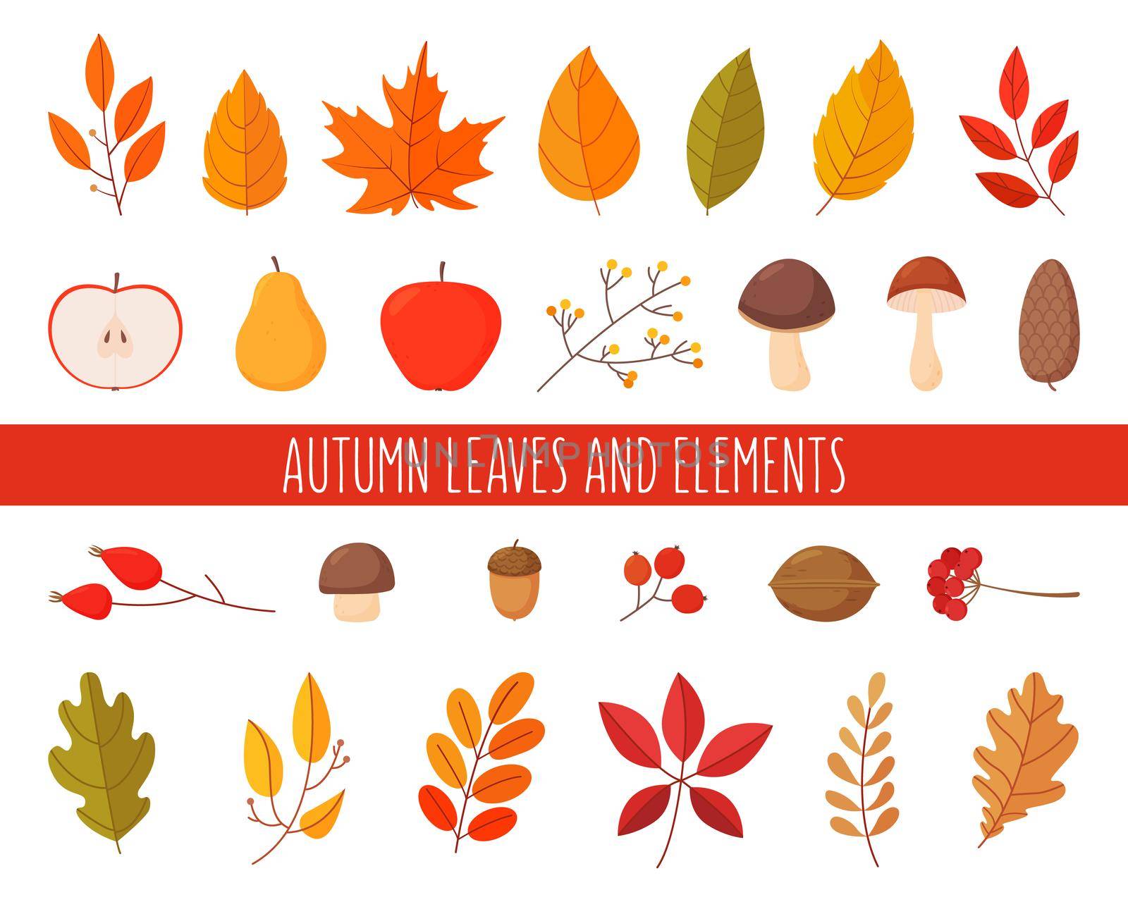 Set of autumn leaves and elements. Simple cartoon flat style. by Lena_Khmelniuk