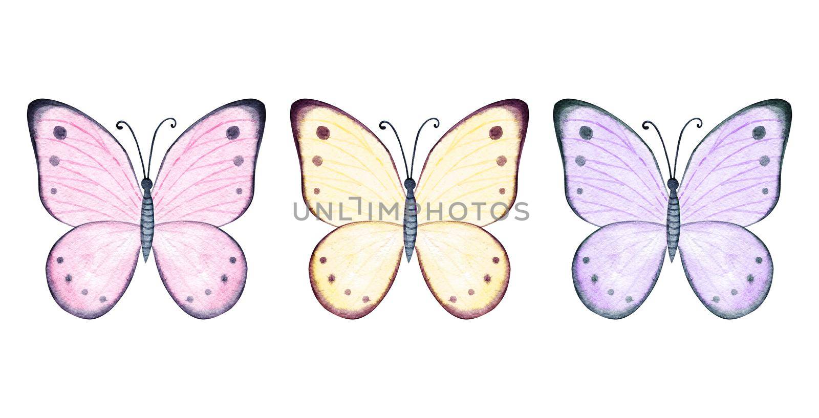 Watercolor pastel colored butterflies set isolated on white by dreamloud