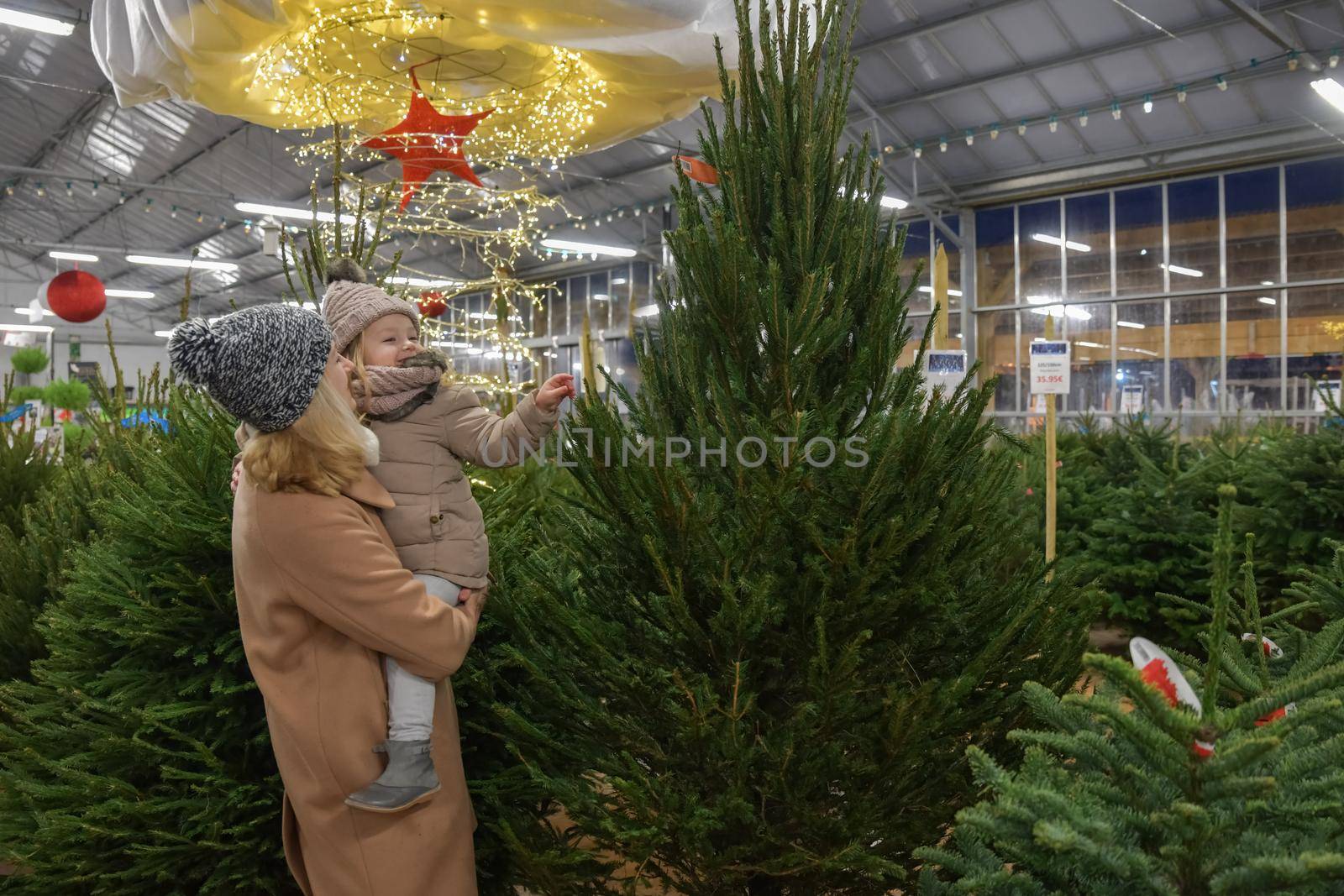 Mother and daughter choose a Christmas tree in the market.