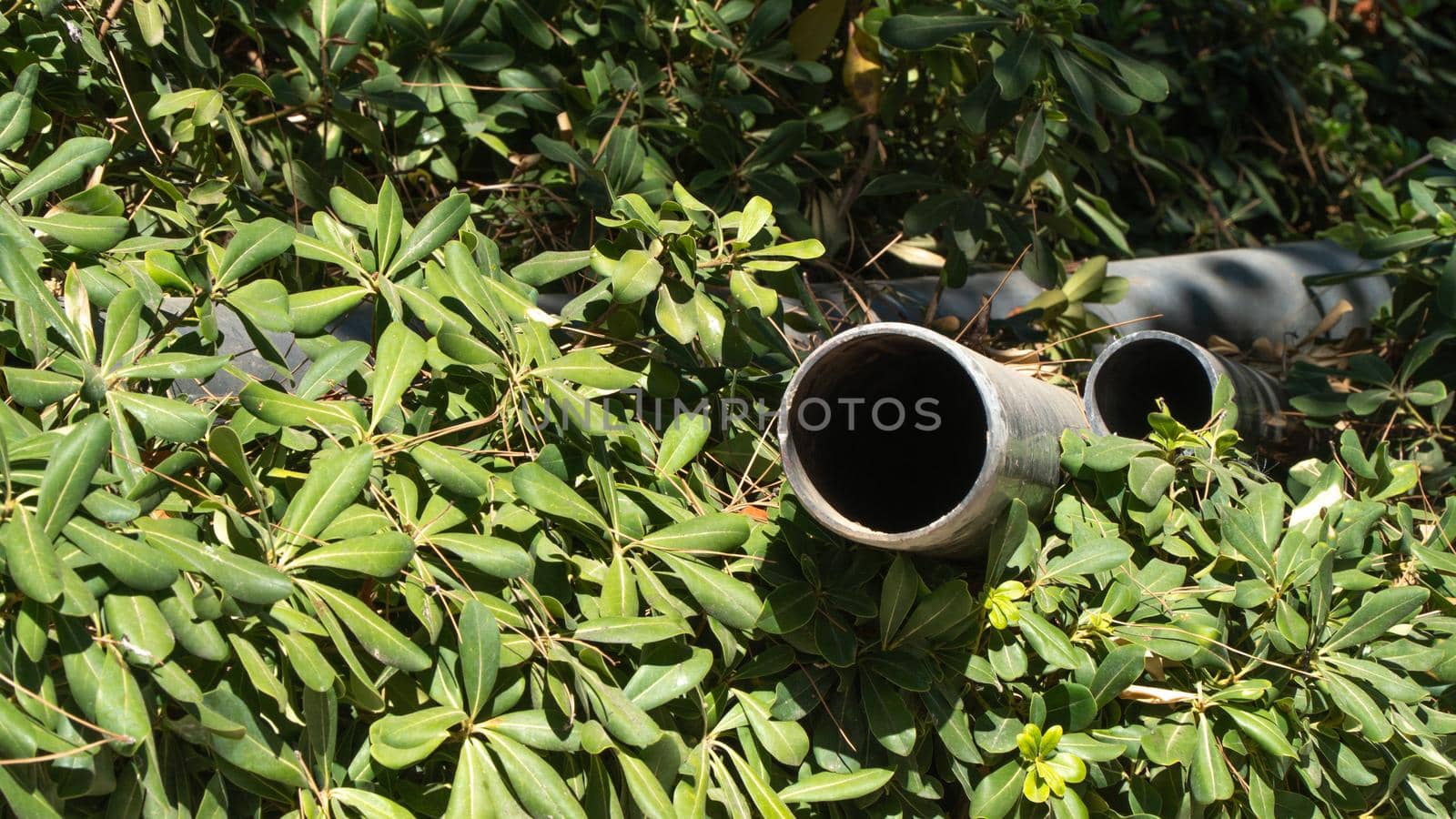 Pipes in bushes, nature and industry. High quality photo