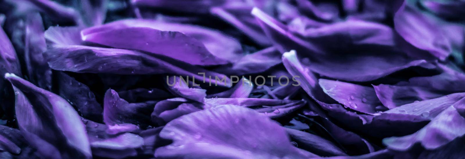 Branding, blossom and botanical concept - Abstract floral holiday art background, purple blooming flower petals in dream garden and beauty in nature for luxury spa brand and wedding invitation design