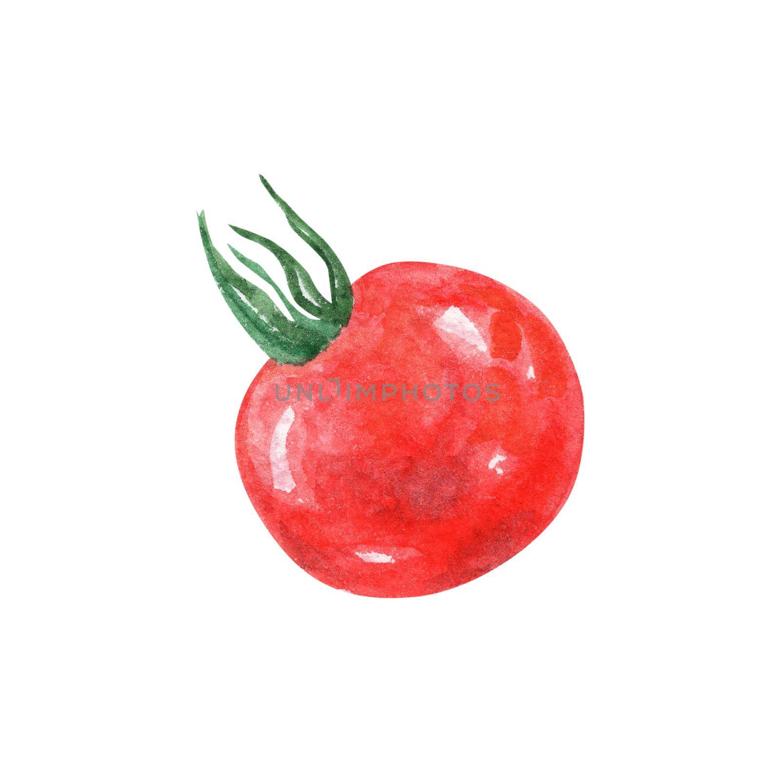 watercolor tomato cherry isolated on white background hand drawn illustration