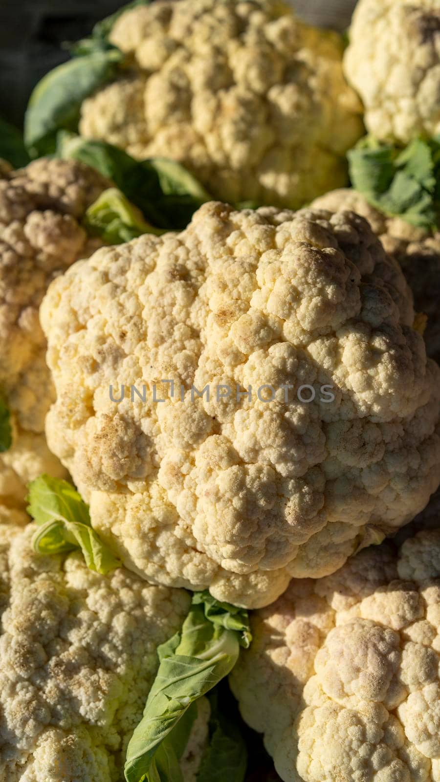 Natural background of fresh cauliflower by Vvicca