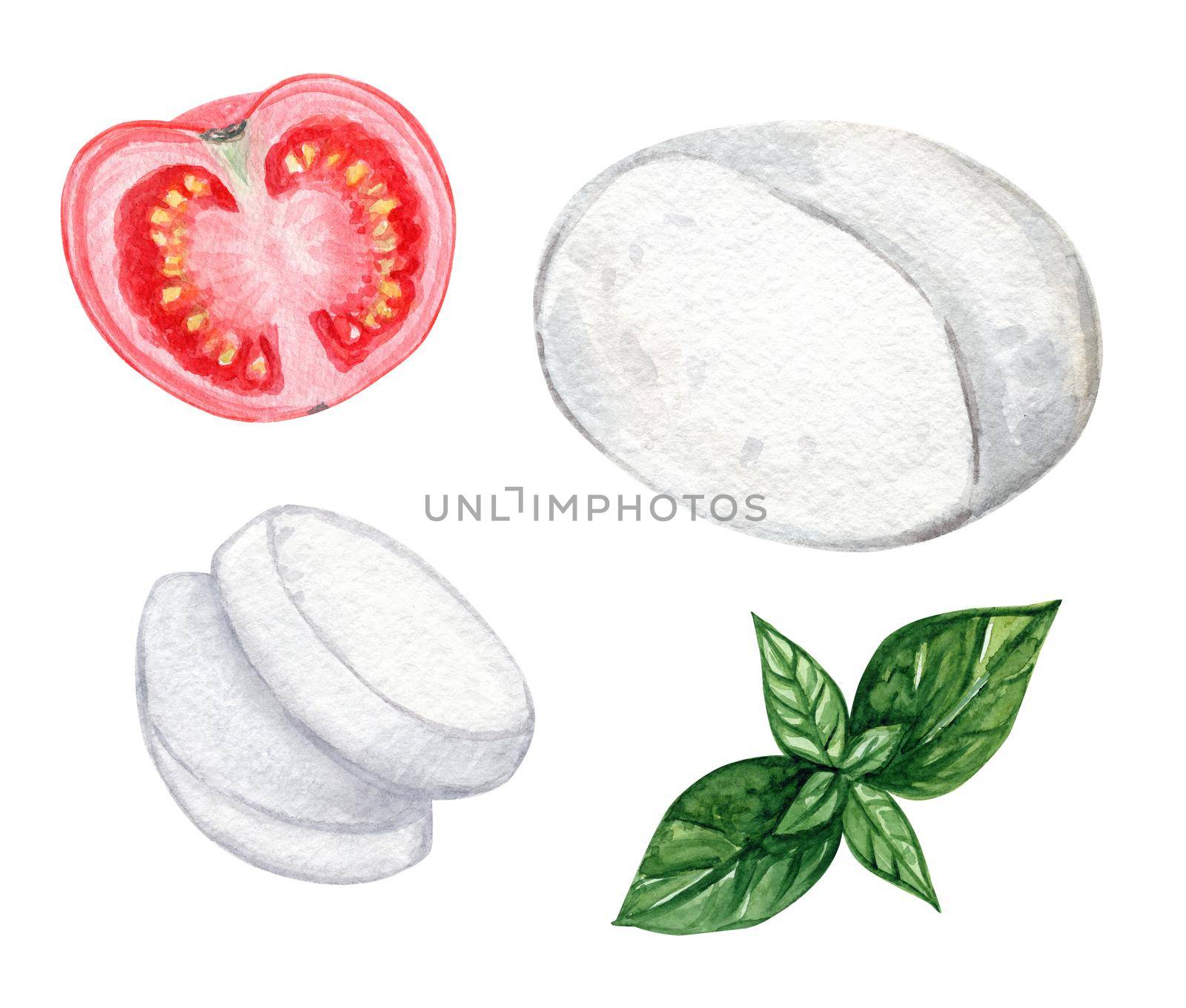 Watercolor caprese ingredients set isolated on white background. Tomato, basil and mozzarella cheese hand drawn illustration. Italian food recipe