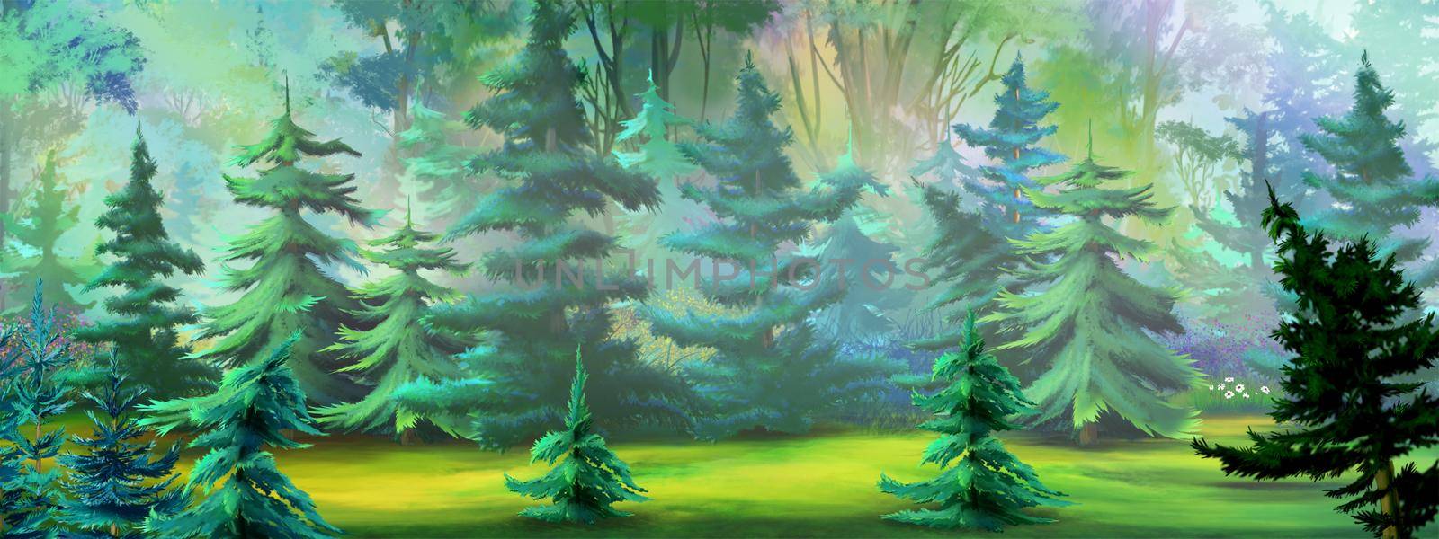 Fir trees in the coniferous forest on a sunny day. Digital Painting Background, Illustration.