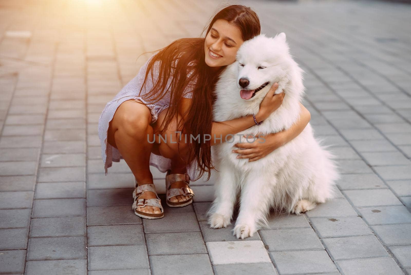 A young woman hugs a big dog at sunset in summer