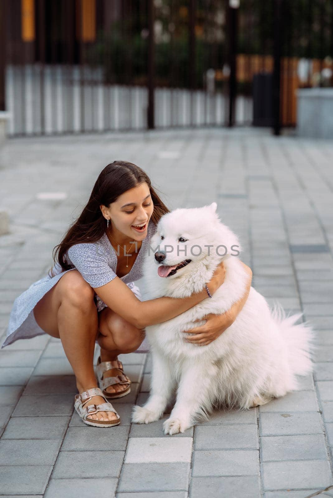 A young woman hugs a big dog at sunset in summer