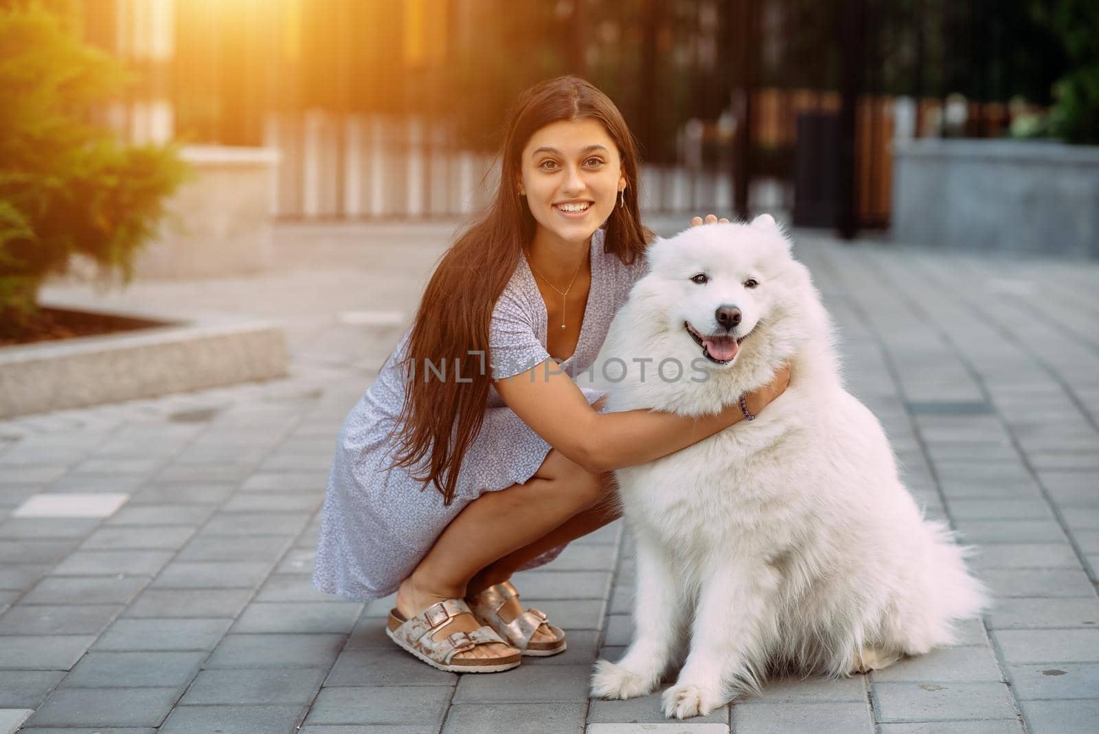 A young woman hugs a big dog at sunset in summer