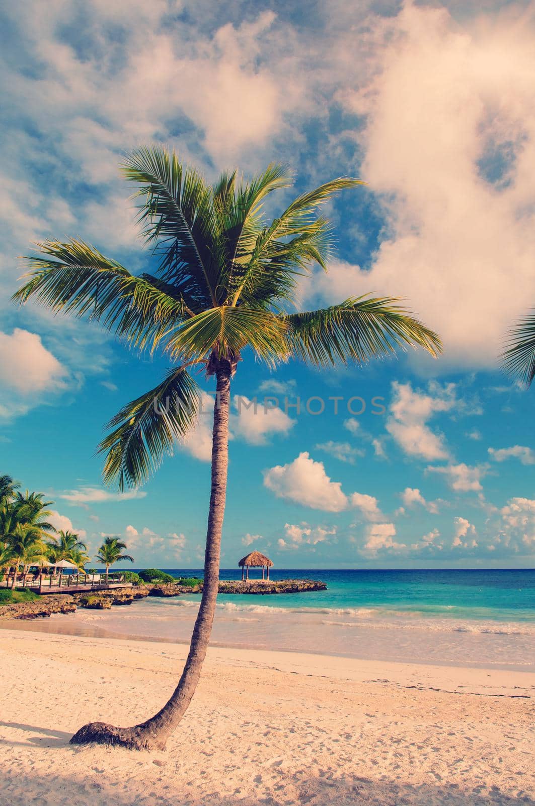 Tropical Paradise. Dominican Republic, Seychelles, Caribbean, Mauritius, Philippines, Bahamas. Relaxing on remote Paradise beach. Vintage. by Andrii_Ko