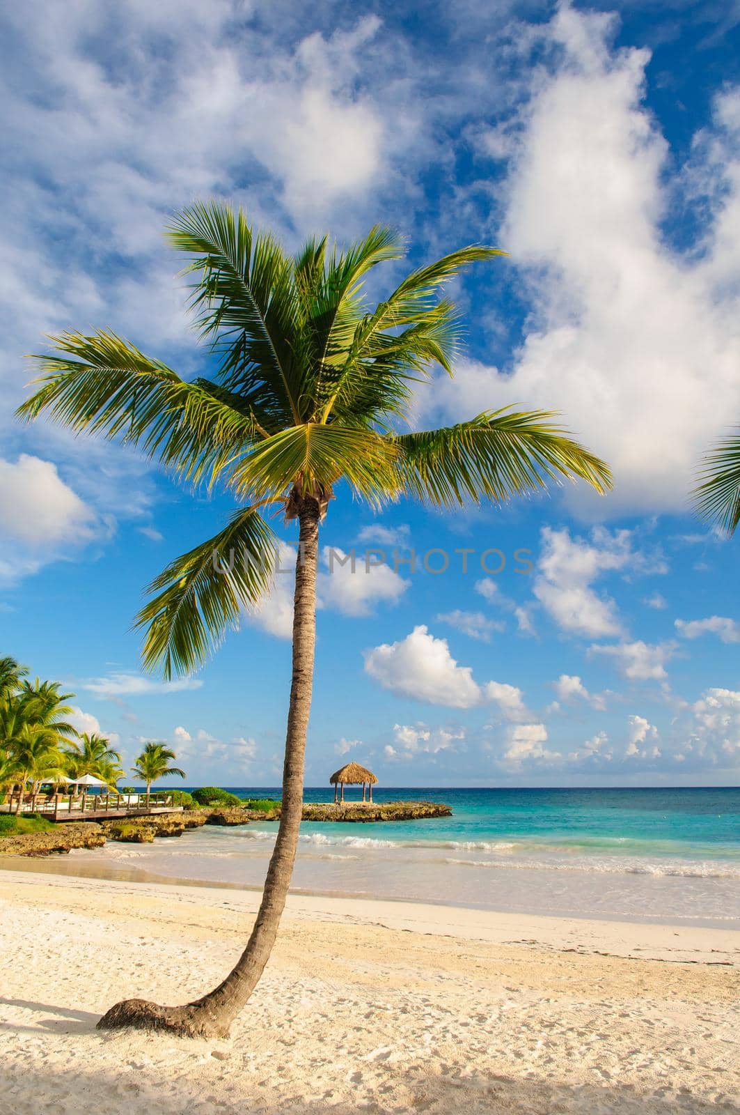 Tropical Paradise. Dominican Republic, Seychelles, Caribbean, Mauritius, Philippines, Bahamas. Relaxing on remote Paradise beach. Vintage.