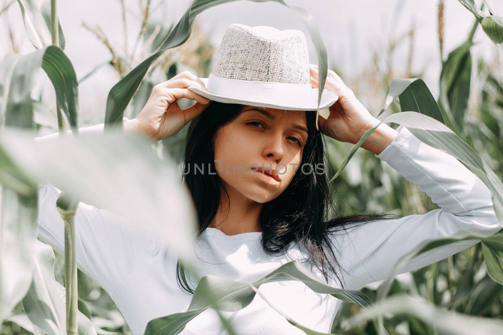 A brunette girl in a white dress in a cornfield. The concept of harvesting.