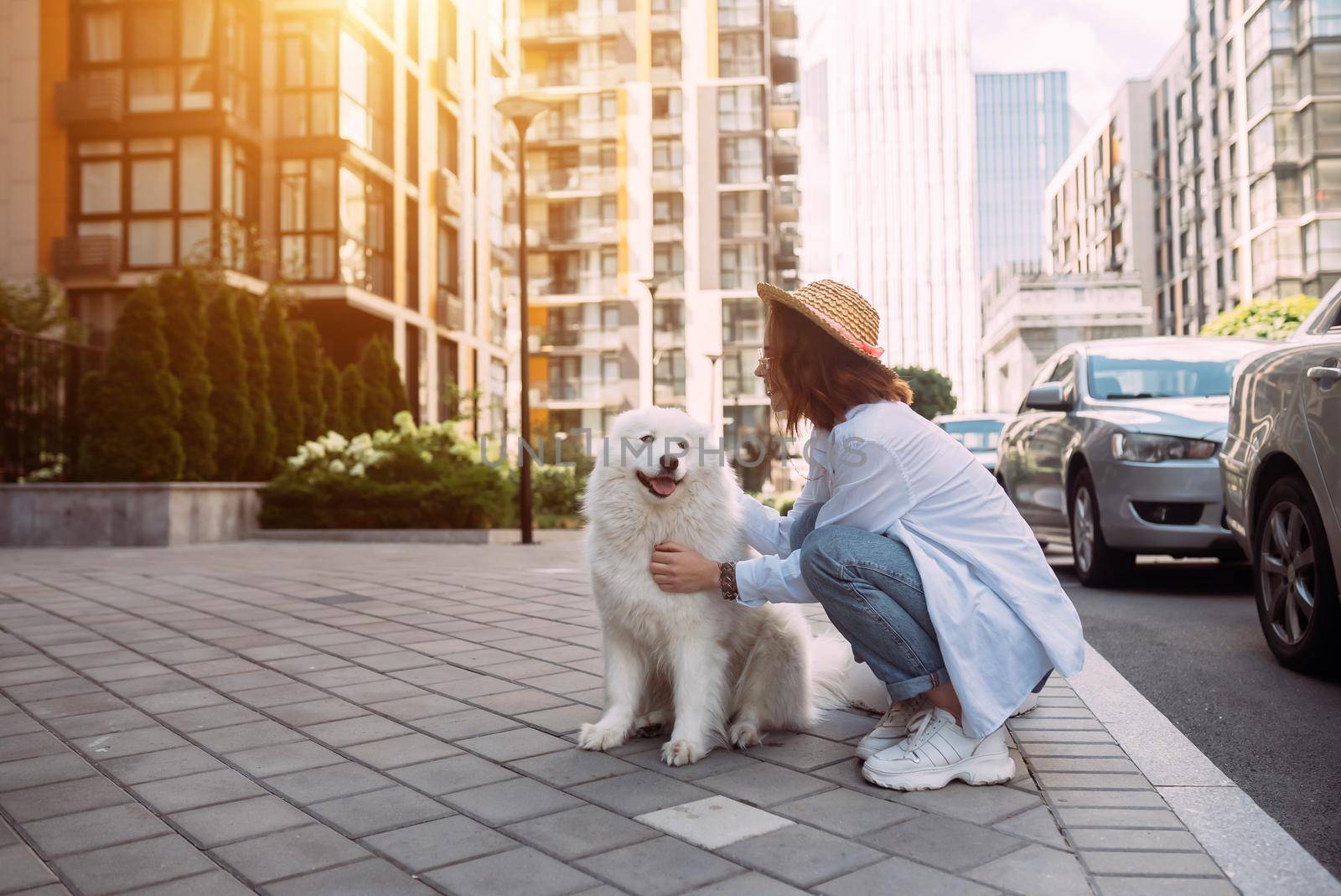 A young woman hugs a big dog at sunset in summer
