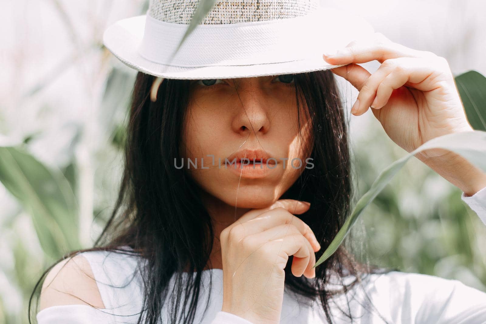 A brunette girl in a white dress in a cornfield. The concept of harvesting.
