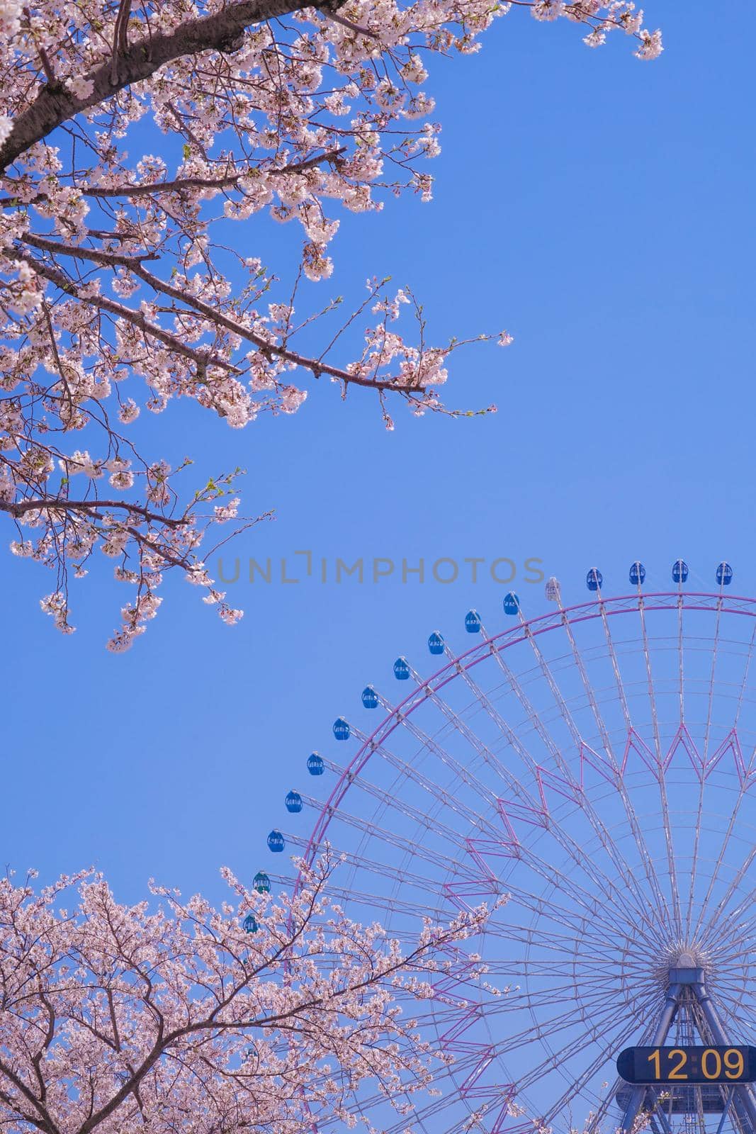 The city of full bloom and the city of Yokohama Minato Mirai. Shooting Location: Yokohama-city kanagawa prefecture