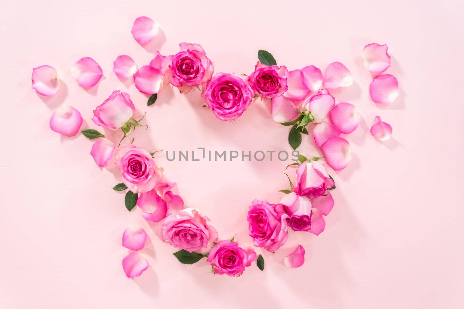 Flat lay. Heart shape made out of pink roses and rose petals on a pink background.