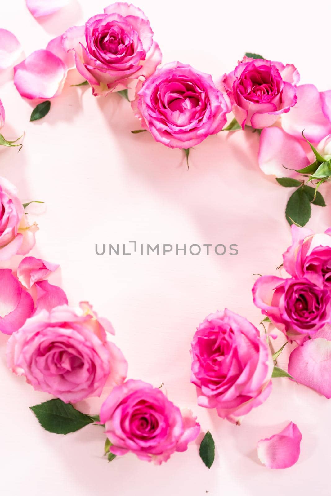 Flat lay. Heart shape made out of pink roses and rose petals on a pink background.