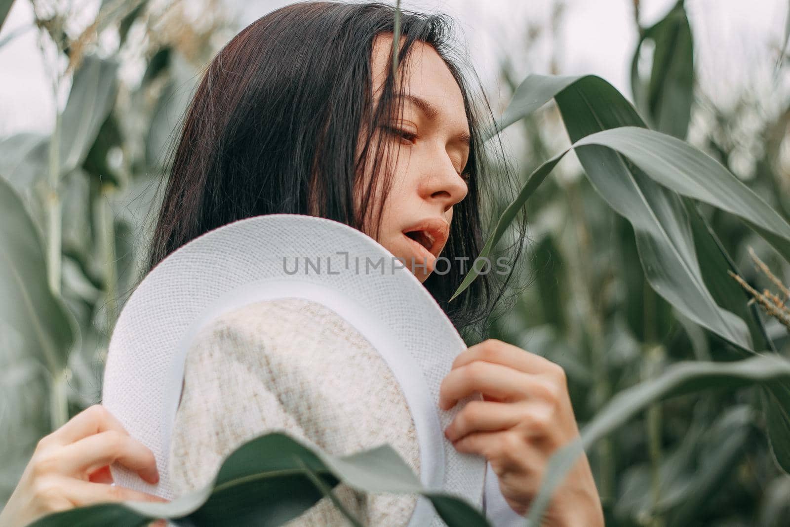 A brunette girl in a white dress in a cornfield. The concept of harvesting.