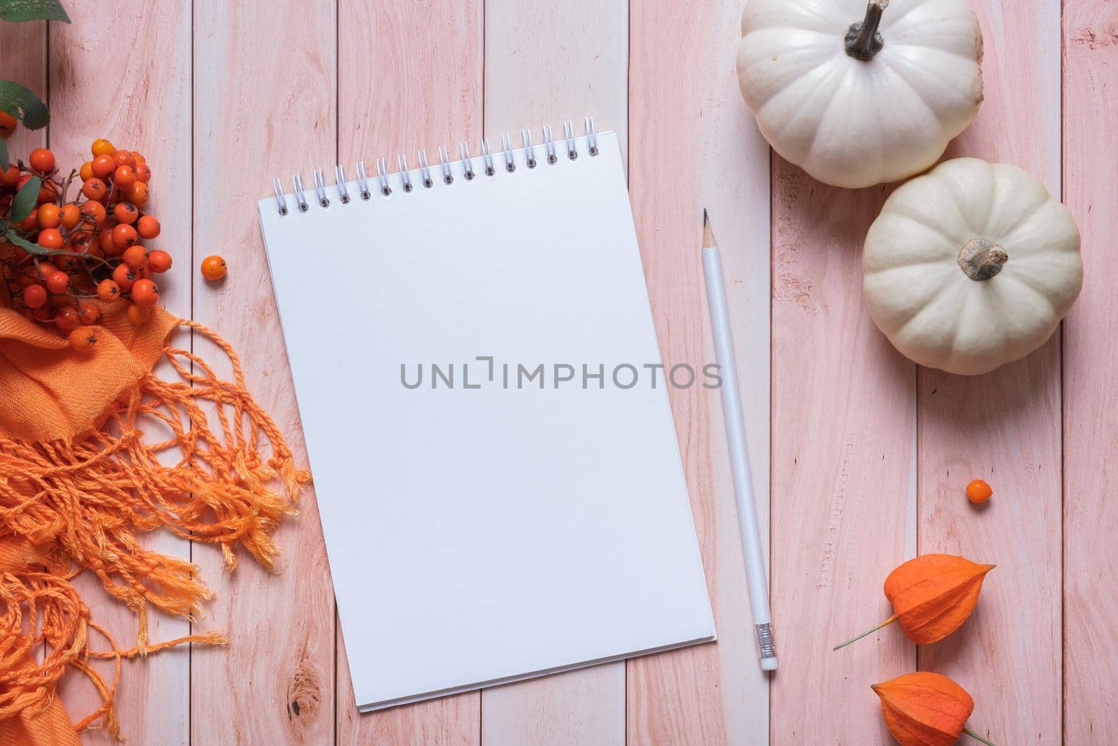 Blank sheet of paper and autumn cozy decor top view. Copy space for autumn text by ssvimaliss