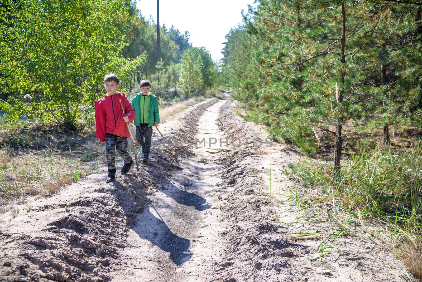 Two preschool children exploring forest, in autumn clothing, playing and learning in nature, alternative learning methods, homeschooling.