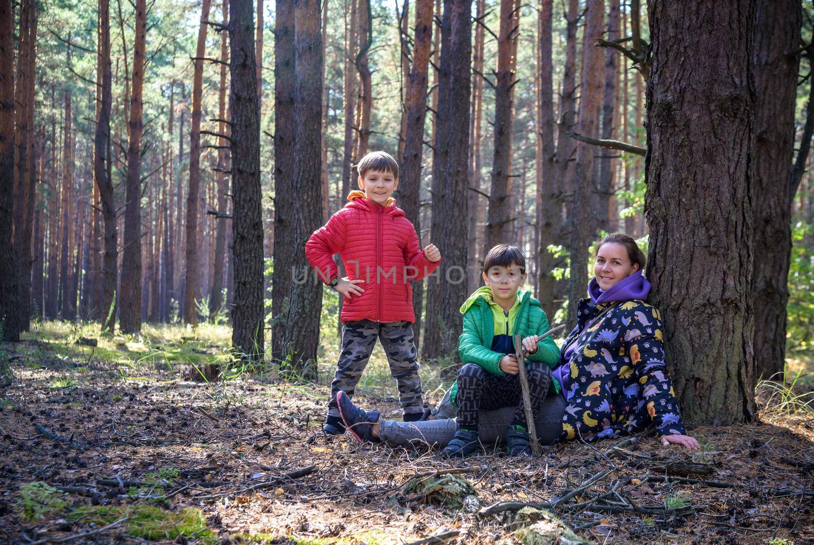 Family with mother and two children boy sibling brothers sits in the forest on felled logs or grass in summer. Happy family in colorful clothes have a hike in autumn forest.