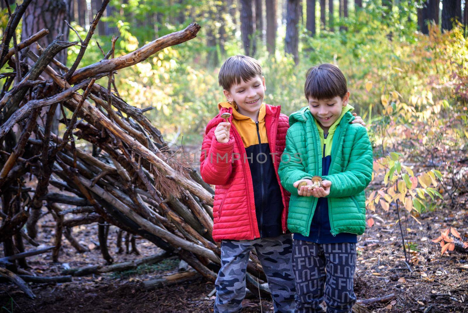 Two sibling brothers boys in the spring or autumn pine forest plays built a hut of sticks. Leisure time on nature with kids.