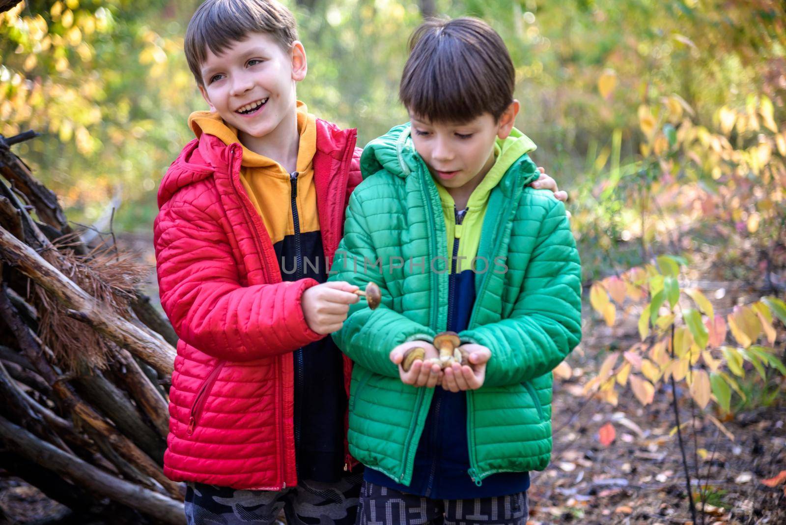 Two sibling brothers boys in the spring or autumn pine forest plays built a hut of sticks. Leisure time on nature with kids.