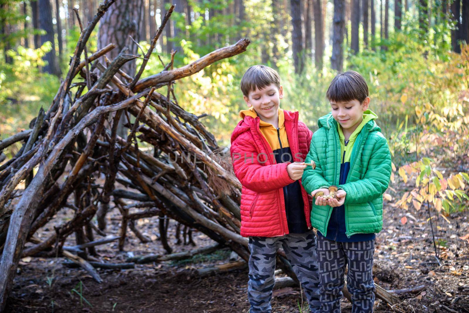 Two sibling brothers boys in the spring or autumn pine forest plays built a hut of sticks. Leisure time on nature with kids.