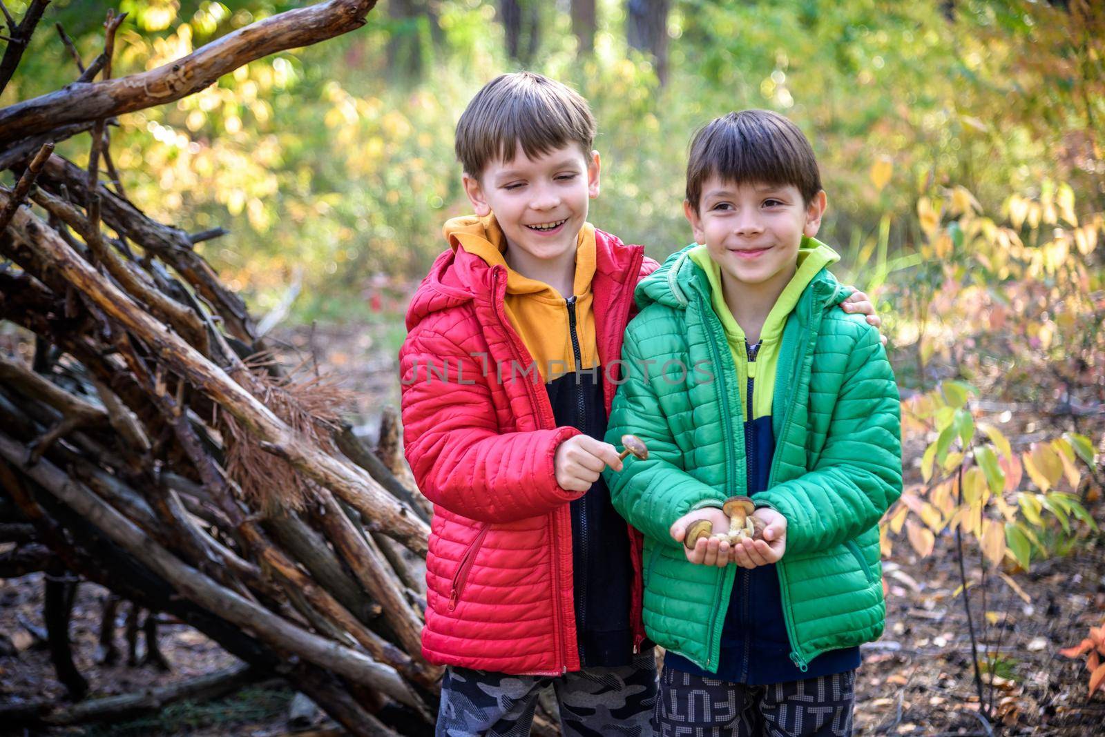 Two sibling brothers boys in the spring or autumn pine forest plays built a hut of sticks. Leisure time on nature with kids.