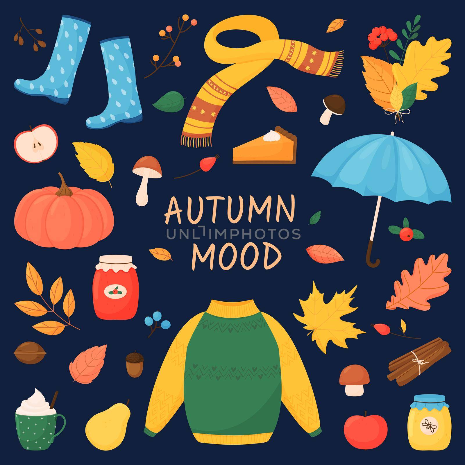 Autumn mood. Vector set with autumn elements in cartoon style on a dark blue background. by Lena_Khmelniuk